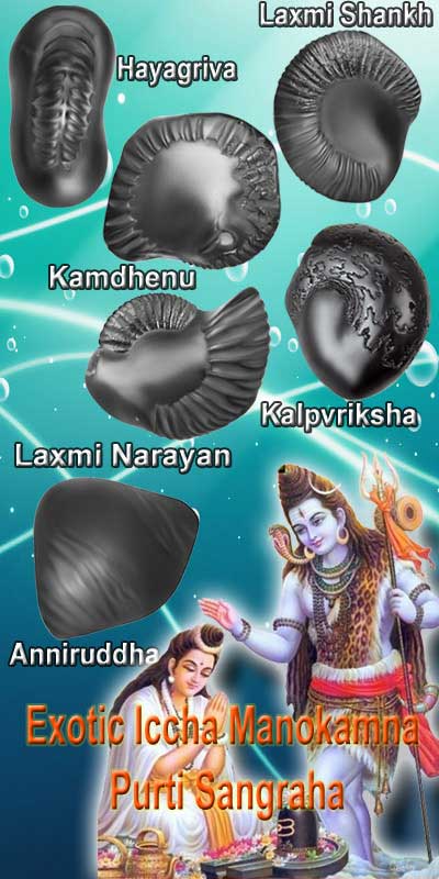 Exotic Divya Iccha Manokamna Purti Sangraha-EIMPS001